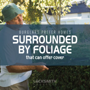 Burglars Prefer Homes That Are Covered By Foliage - Locksmith Sarasota